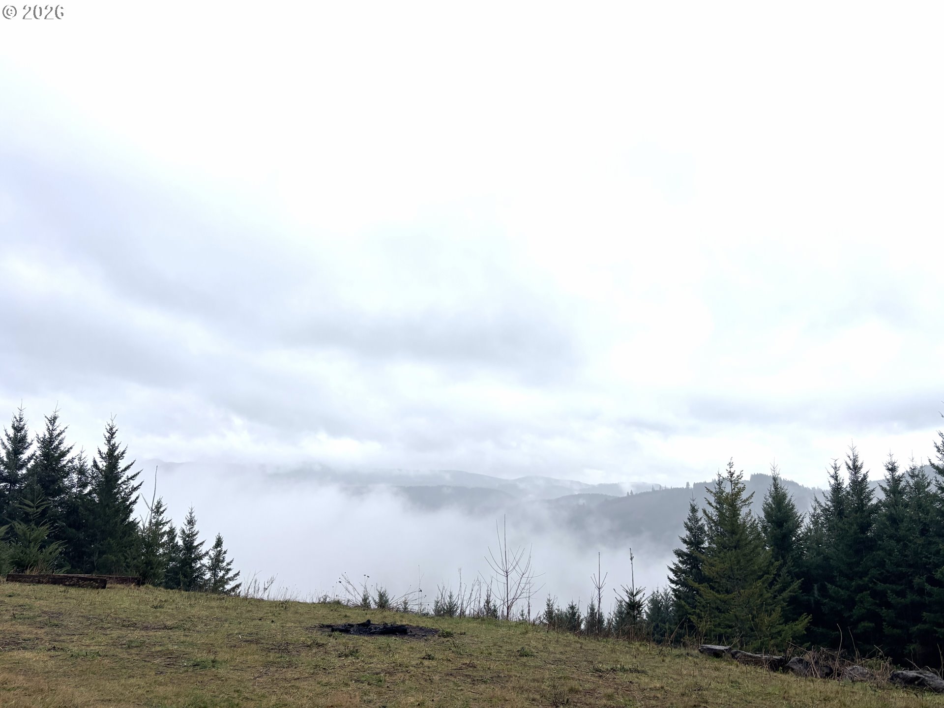 1844 Knights Bridge Road Amboy, WA 98601 - Photo 15 of 32