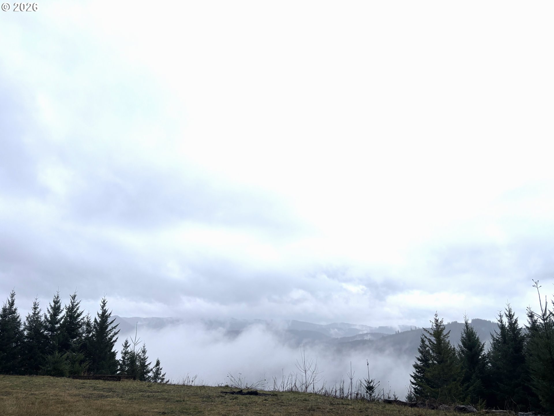 1844 Knights Bridge Road Amboy, WA 98601 - Photo 16 of 32