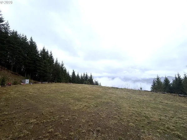 $225,000 | 1844 Knights Bridge Road, Amboy, WA 98601