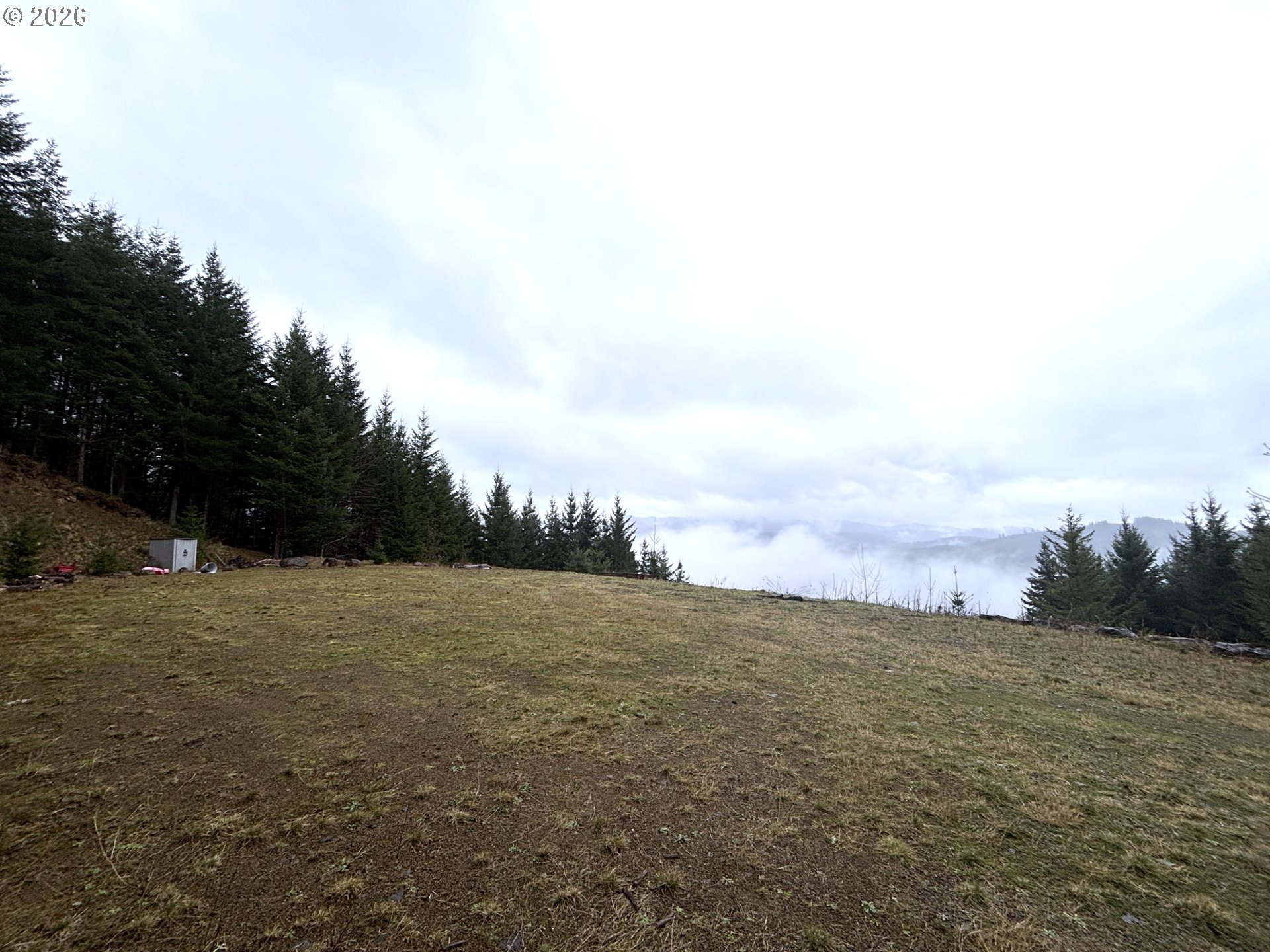 1844 Knights Bridge Road Amboy, WA 98601 - Photo 17 of 32