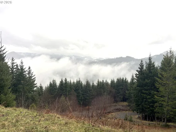 $225,000 | 1844 Knights Bridge Road, Amboy, WA 98601