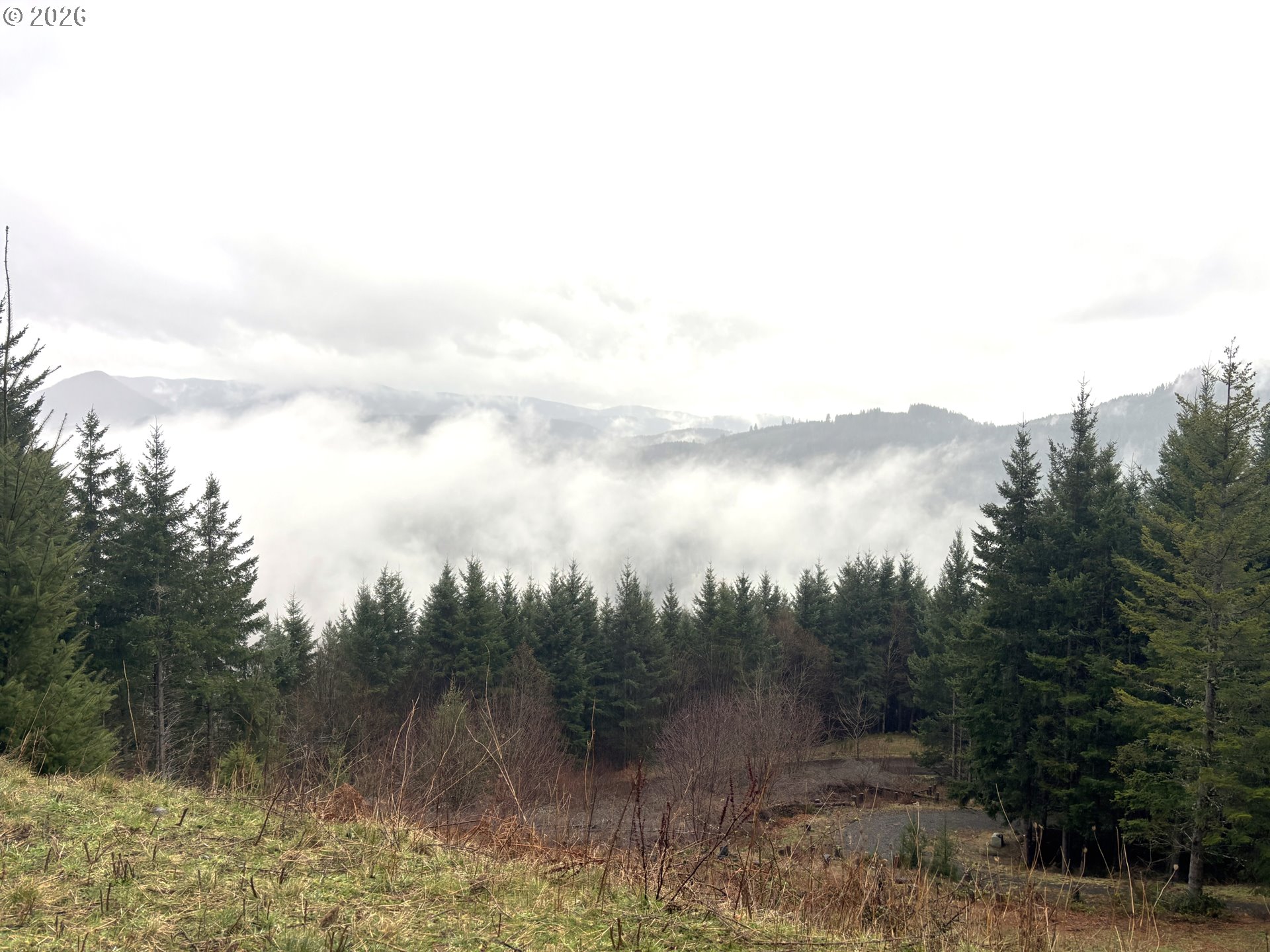 1844 Knights Bridge Road Amboy, WA 98601 - Photo 18 of 32