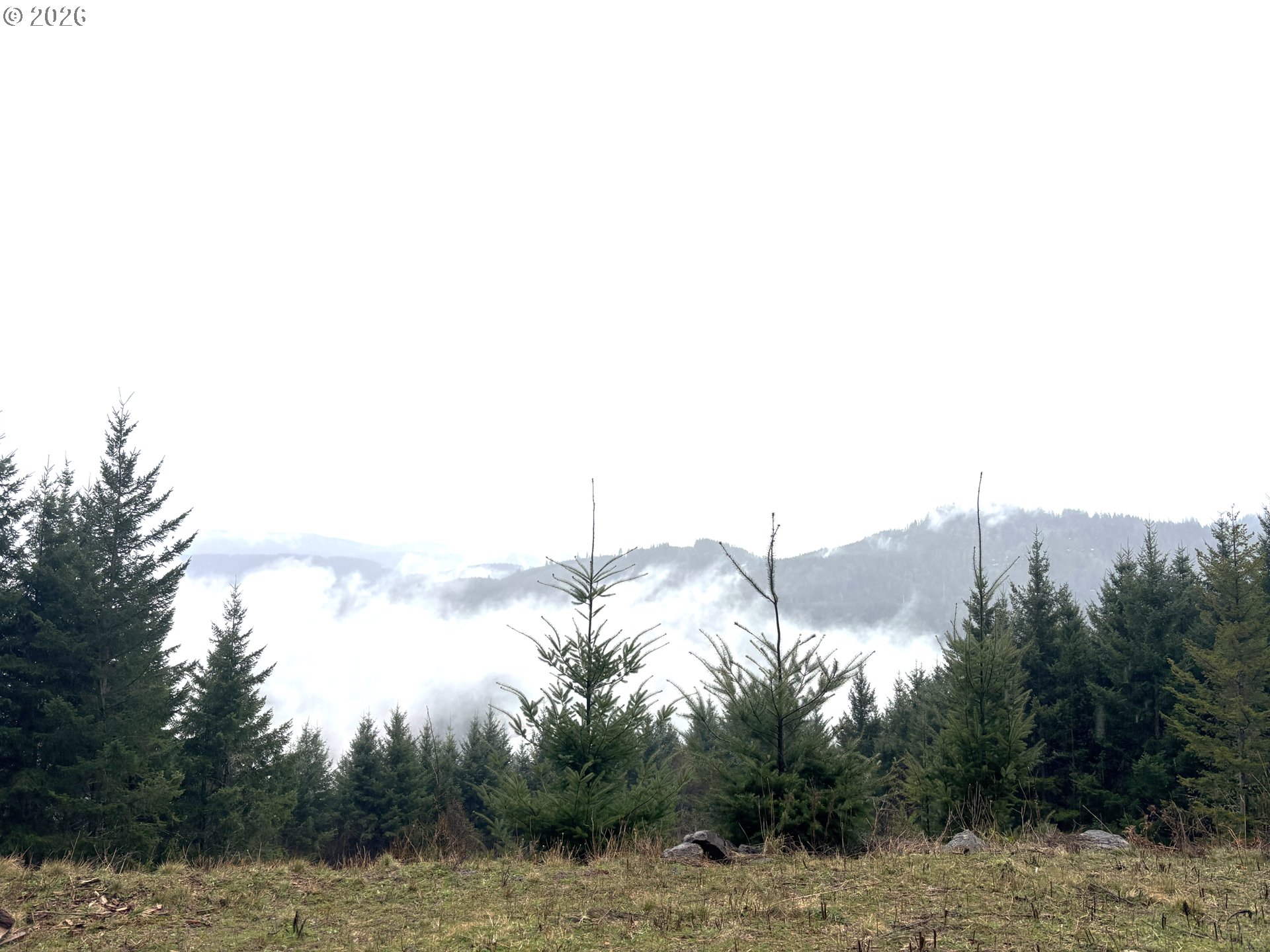 1844 Knights Bridge Road Amboy, WA 98601 - Photo 19 of 32