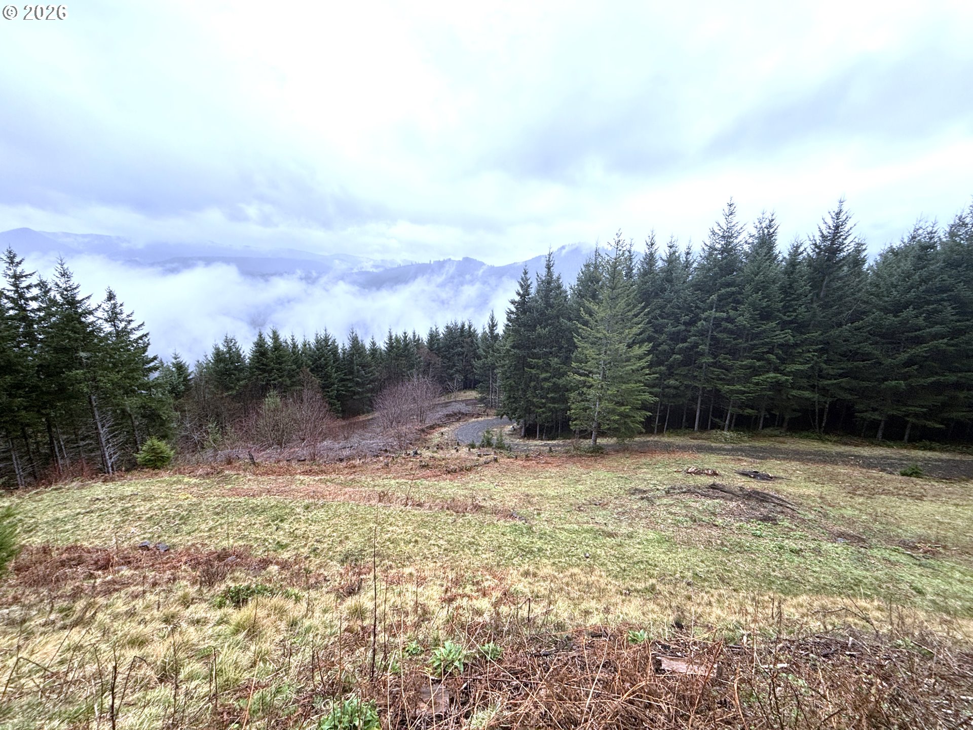 1844 Knights Bridge Road Amboy, WA 98601 - Photo 20 of 32