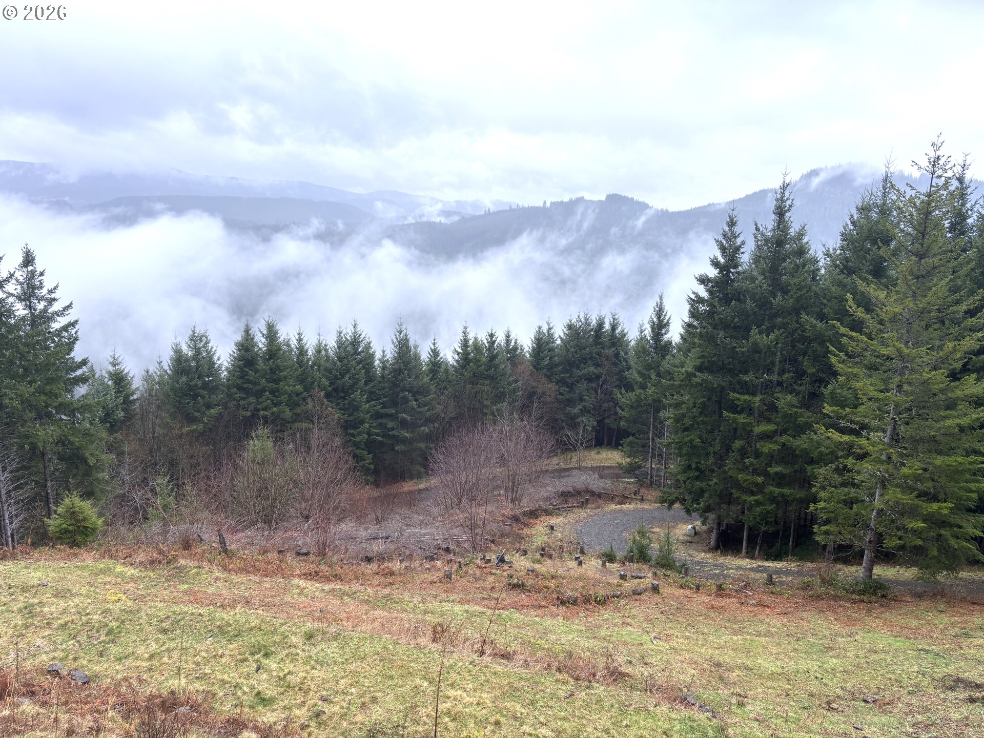 1844 Knights Bridge Road Amboy, WA 98601 - Photo 21 of 32