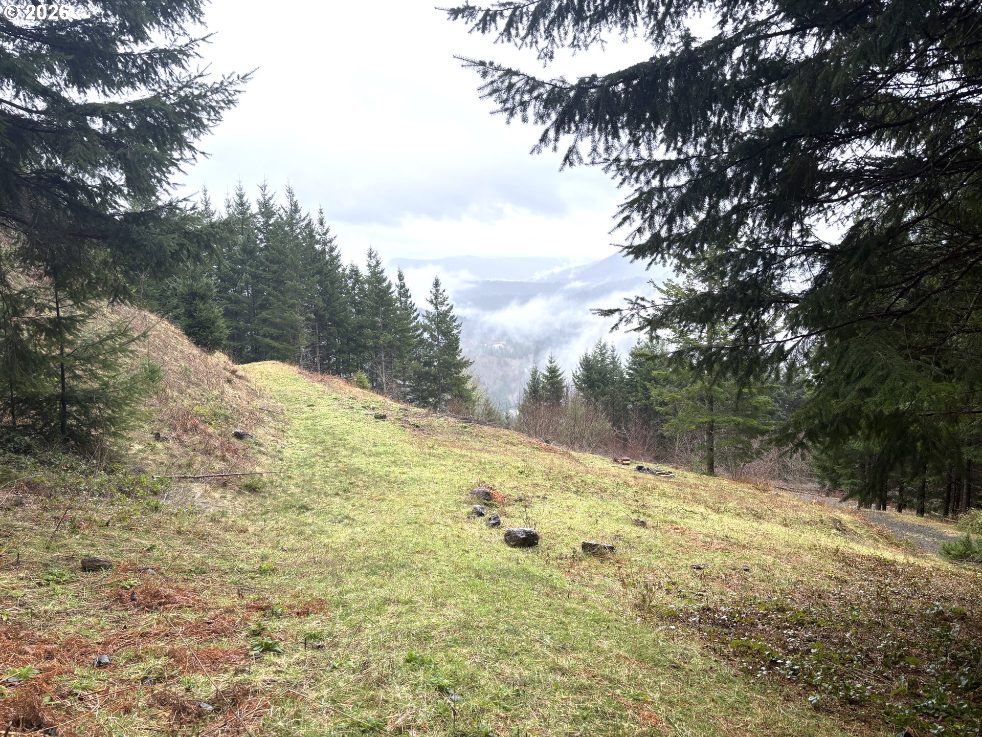 1844 Knights Bridge Road Amboy, WA 98601 - Photo 22 of 32