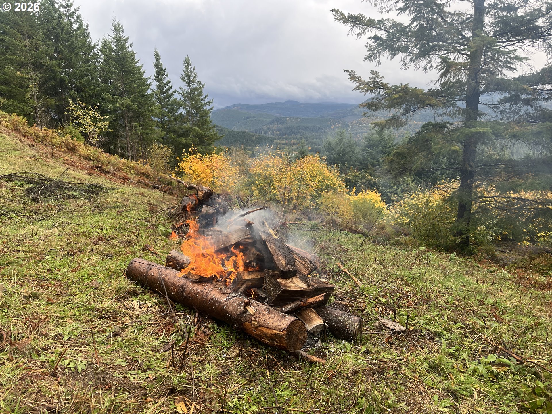 1844 Knights Bridge Road Amboy, WA 98601 - Photo 23 of 32