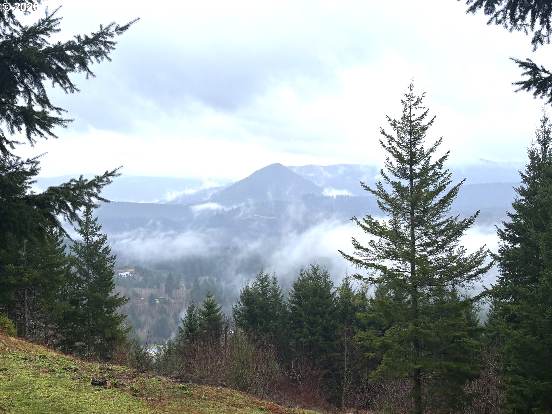 1844 Knights Bridge Road Amboy, WA 98601 - Photo 25 of 32