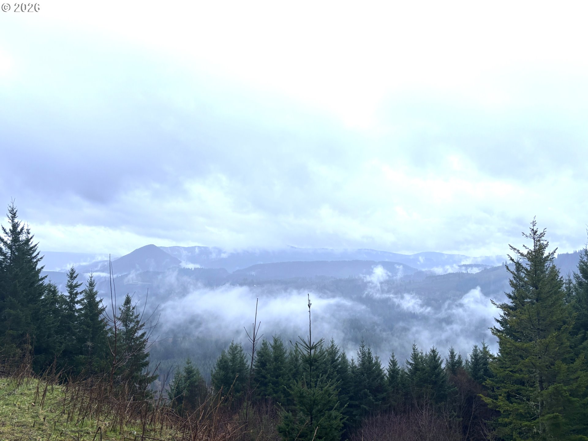 1844 Knights Bridge Road Amboy, WA 98601 - Photo 26 of 32