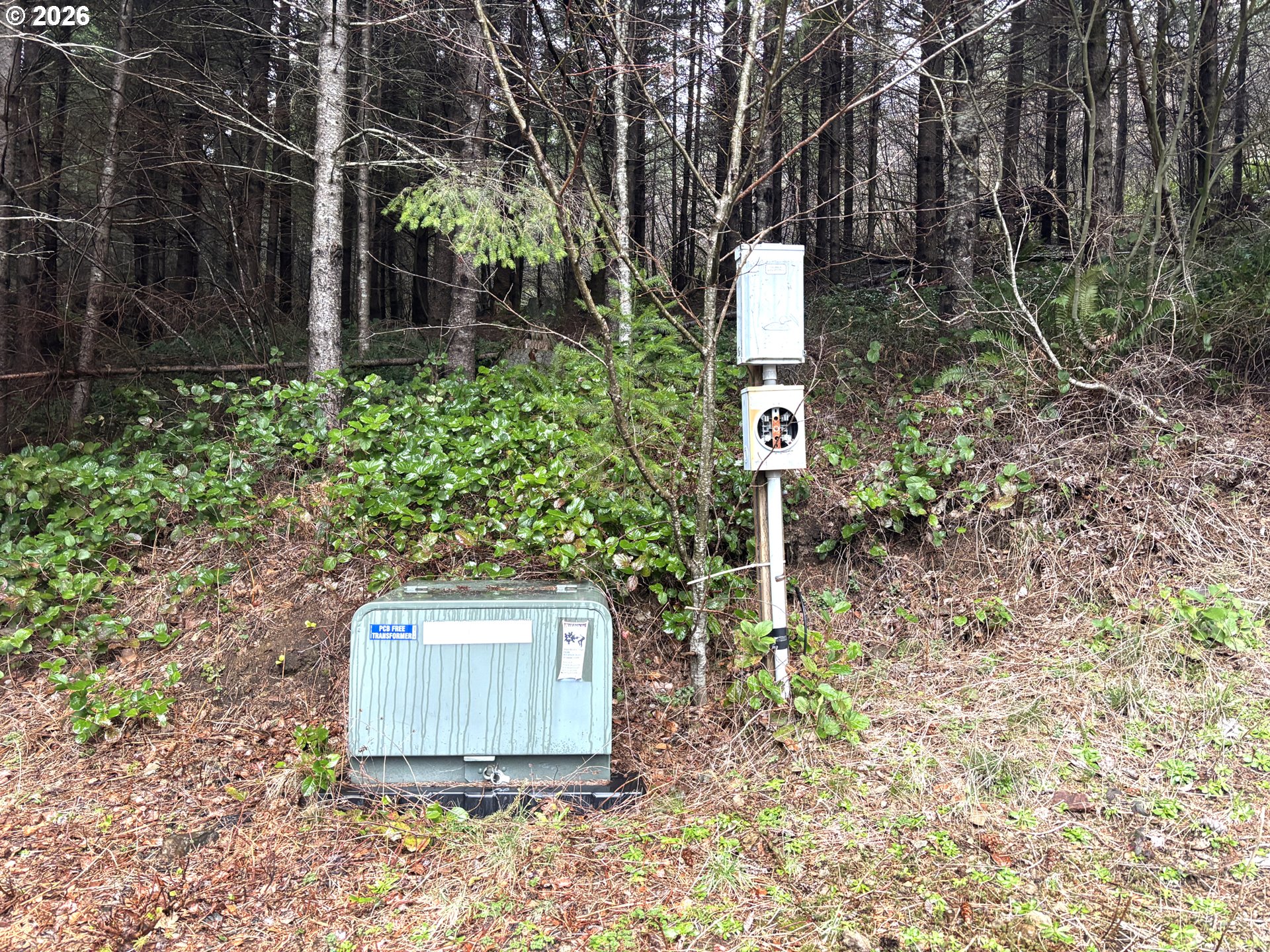 1844 Knights Bridge Road Amboy, WA 98601 - Photo 27 of 32