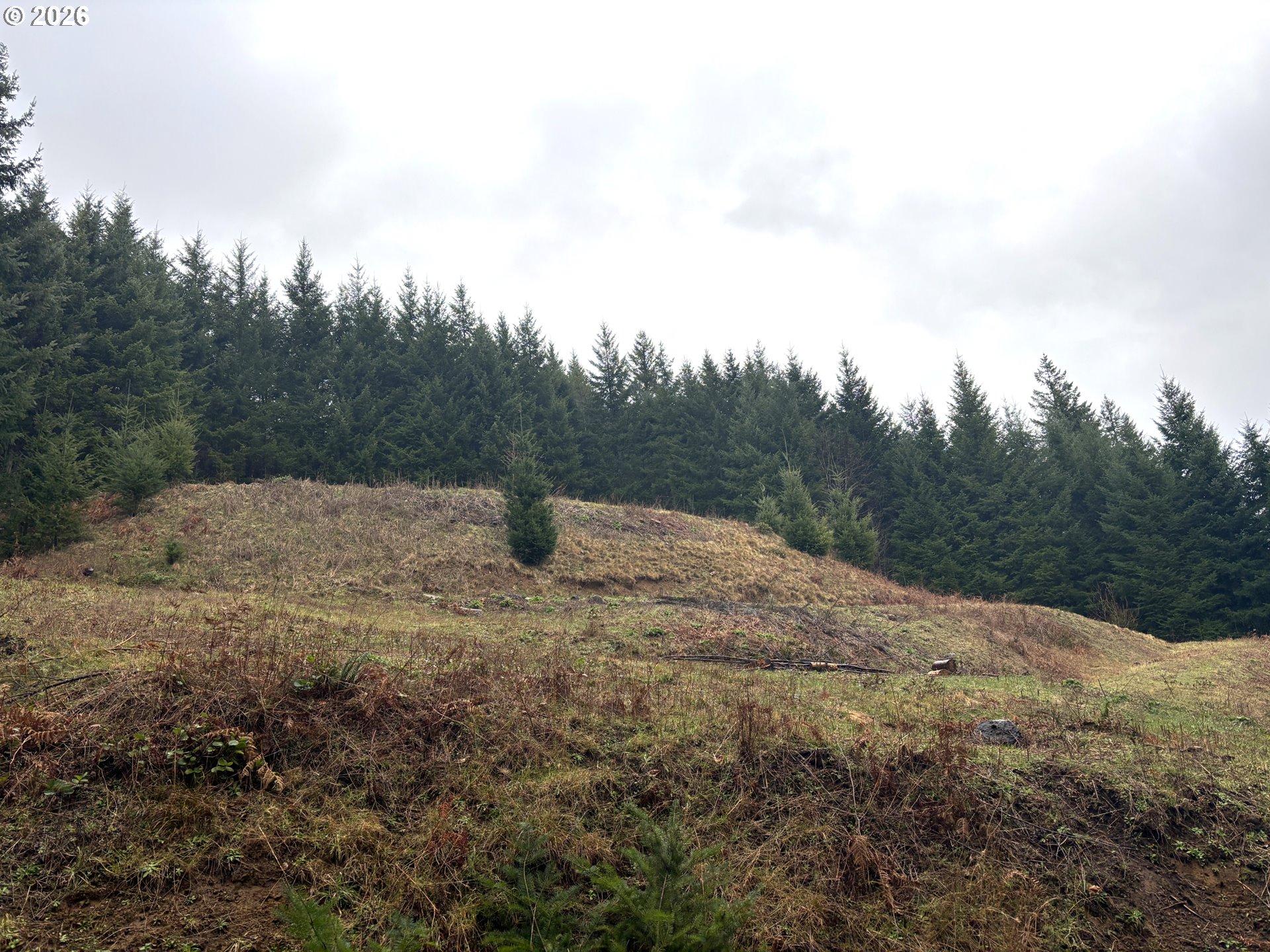 1844 Knights Bridge Road Amboy, WA 98601 - Photo 28 of 32