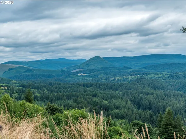 $225,000 | 1844 Knights Bridge Road, Amboy, WA 98601