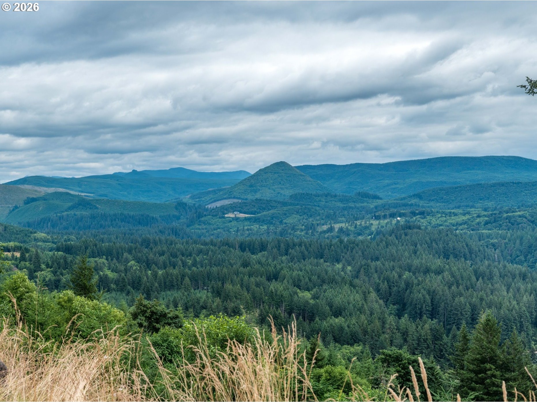 1844 Knights Bridge Road Amboy, WA 98601 - Photo 30 of 32