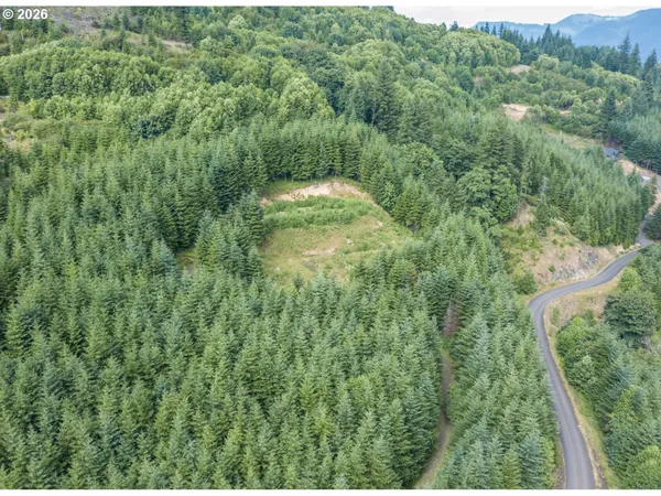 $225,000 | 1844 Knights Bridge Road, Amboy, WA 98601