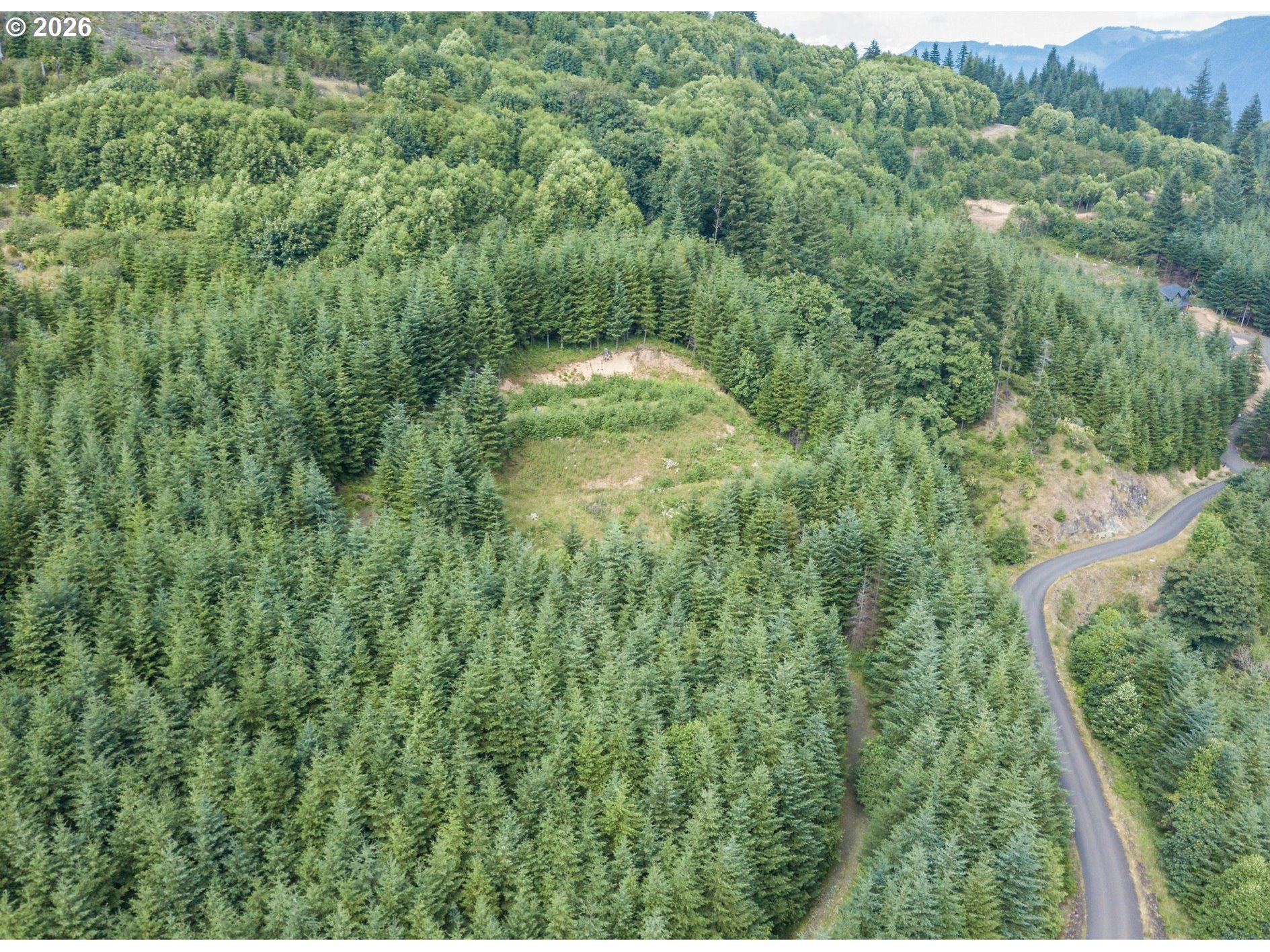 1844 Knights Bridge Road Amboy, WA 98601 - Photo 31 of 32