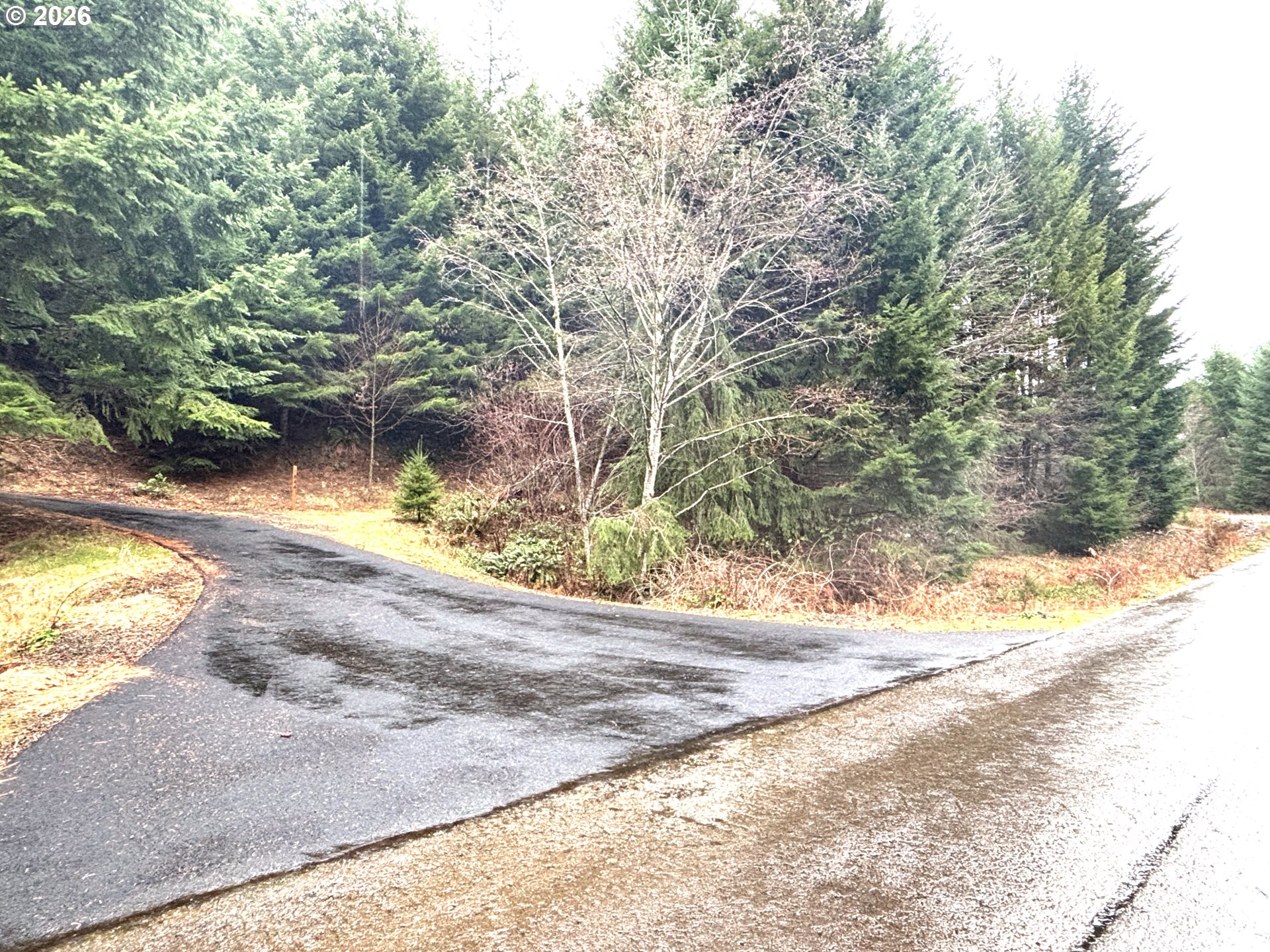 1844 Knights Bridge Road Amboy, WA 98601 - Photo 4 of 32