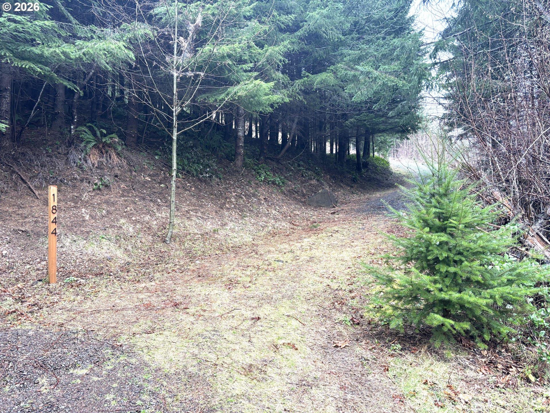 1844 Knights Bridge Road Amboy, WA 98601 - Photo 6 of 32