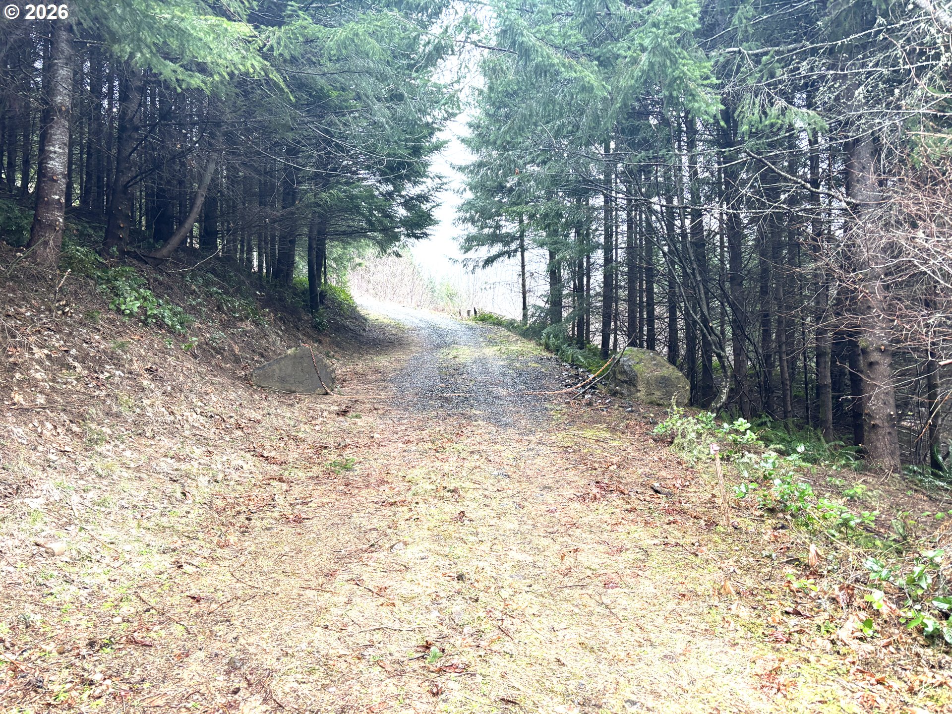 1844 Knights Bridge Road Amboy, WA 98601 - Photo 7 of 32