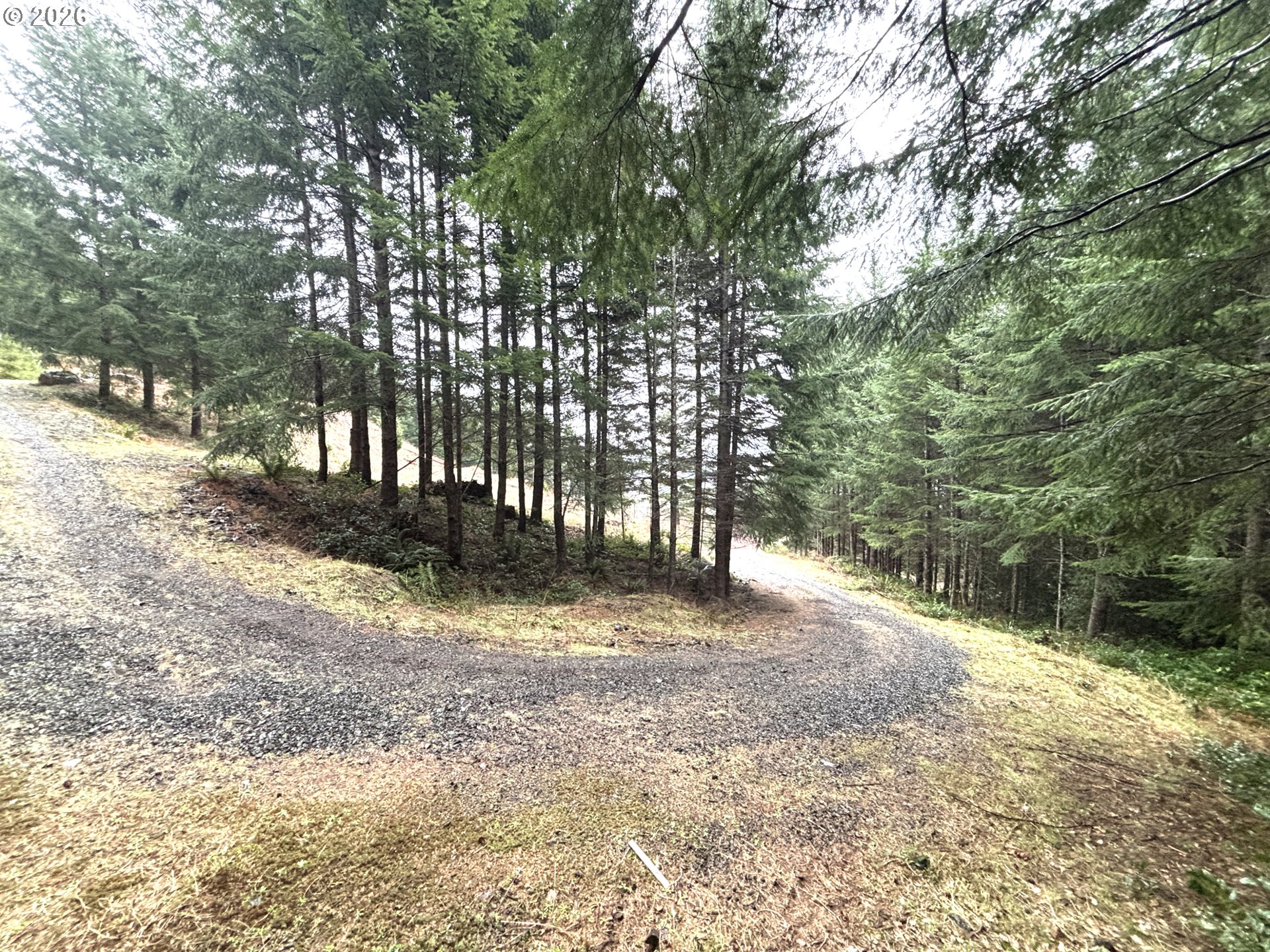 1844 Knights Bridge Road Amboy, WA 98601 - Photo 8 of 32