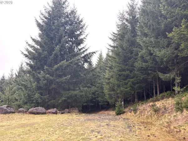 $225,000 | 1844 Knights Bridge Road, Amboy, WA 98601