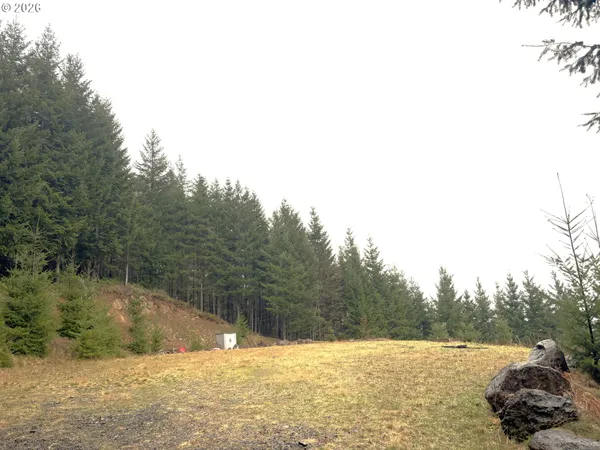 $225,000 | 1844 Knights Bridge Road, Amboy, WA 98601