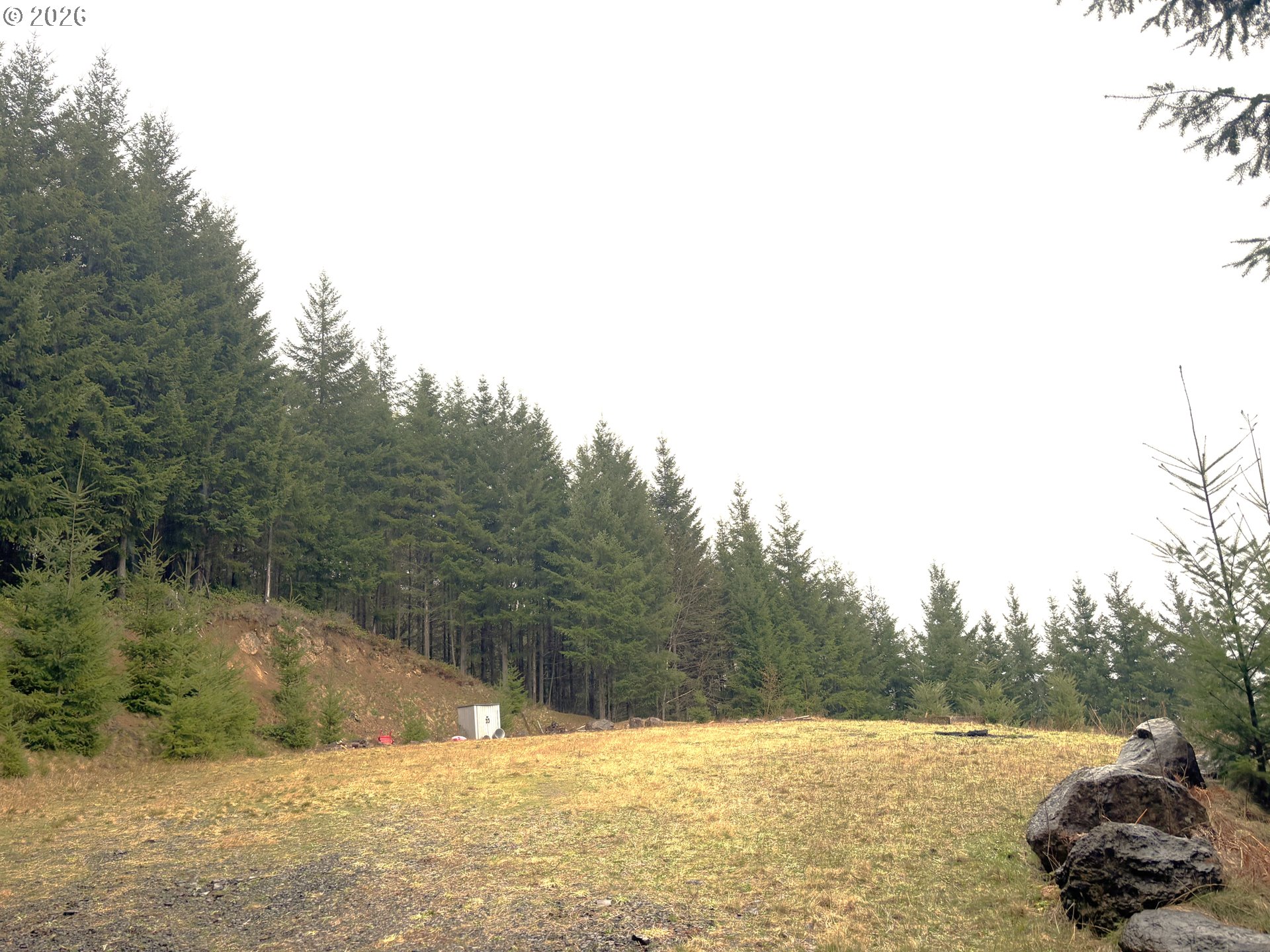 1844 Knights Bridge Road Amboy, WA 98601 - Photo 10 of 32