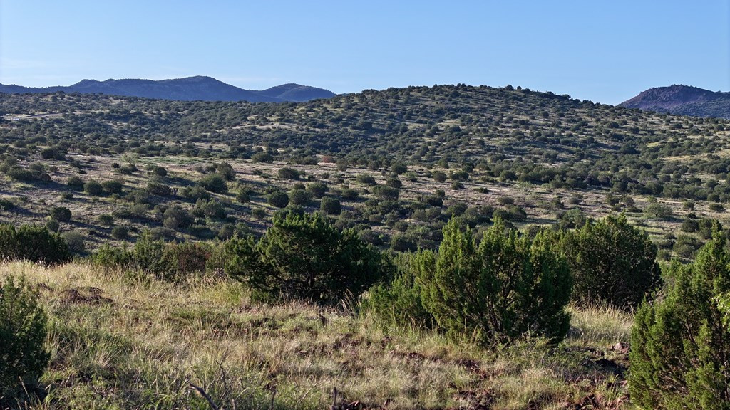57 R Sierra La Rana Alpine, TX 79830 - Photo 3 of 12 Photo 3