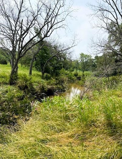 180 County Road 140 Comanche, TX 76442 - Photo 12 of 17 a backyard of a building with large trees