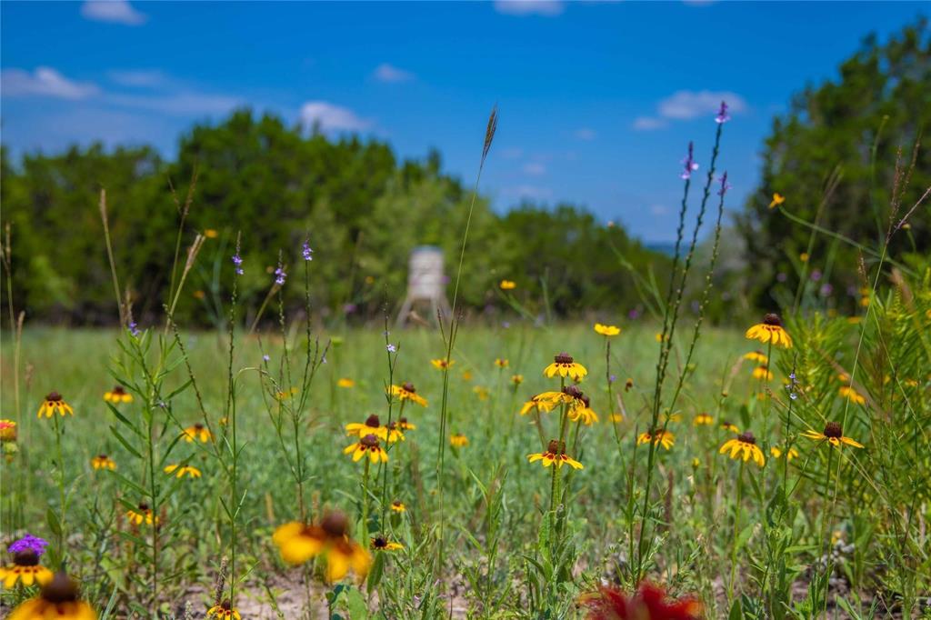 180 County Road 140 Comanche, TX 76442 - Photo 13 of 17 a view of a lake from a yard