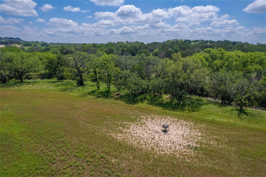 180 County Road 140 Comanche, TX 76442 - Photo 16 of 17 a view of a field with an trees