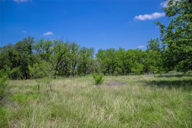 a view of a yard with a tree