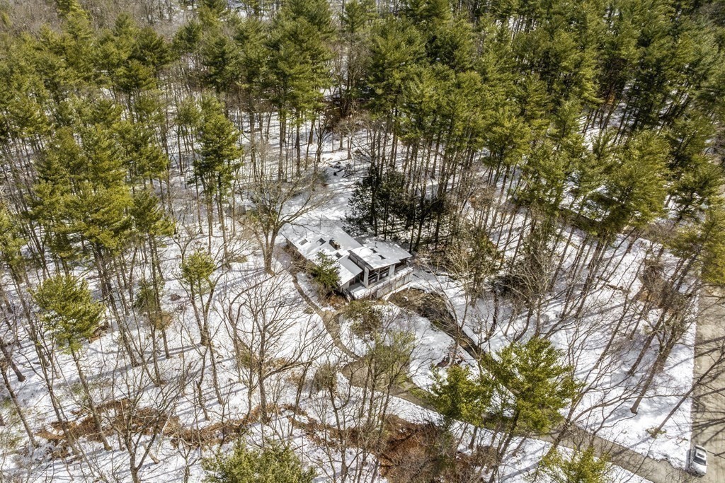 87 Wolf Rock Road Carlisle, MA 01741 - Photo 27 of 28 a view of forest