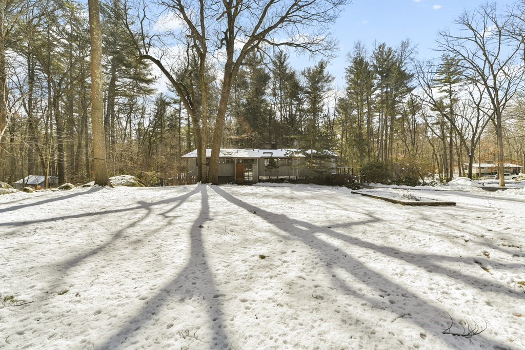 87 Wolf Rock Road Carlisle, MA 01741 - Photo 28 of 28 a view of side of snow with trees