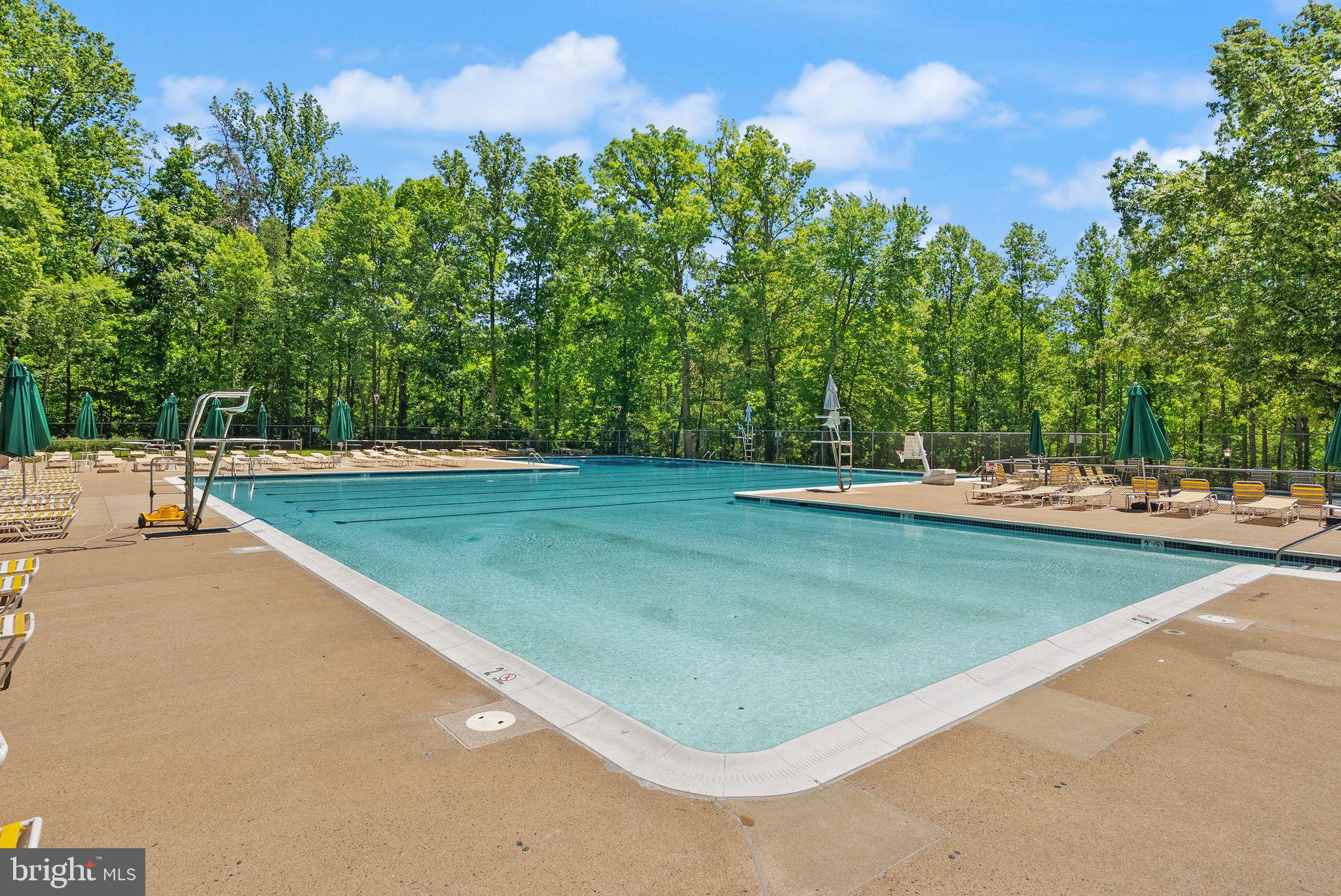 8337 Windfall Road Springfield, VA 22153 - Photo 35 of 45 Gallery Image 35