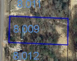 6317 Willie Varnum Road Cottonwood, AL 36320 - Photo 1 of 1 Main View