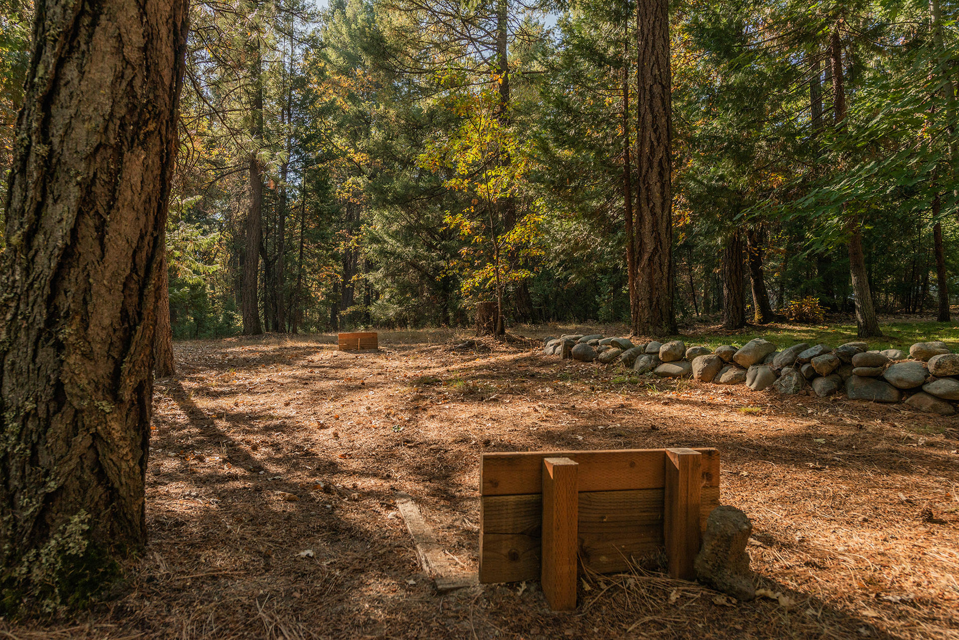 71 Acres Off Trinity Meadows, Unit NONE Trinity Center, CA 96091 - Photo 12 of 49