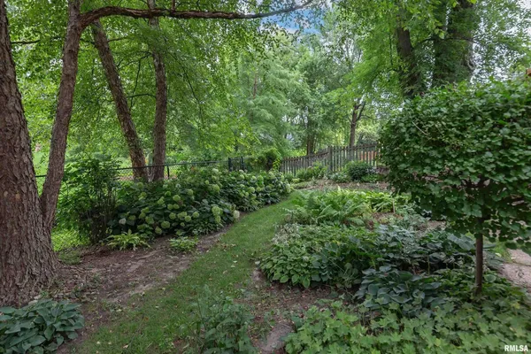 a view of a lush green forest