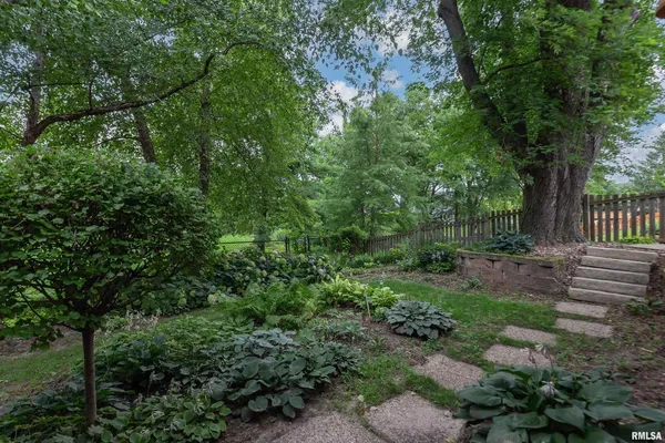 a view of a garden with a tree