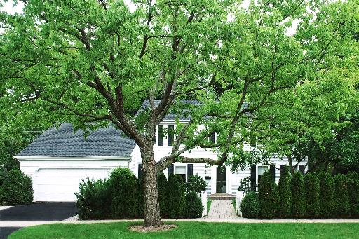 545 Maple Street Winnetka, IL 60093 - Photo 1 of 1 Gallery Image 1