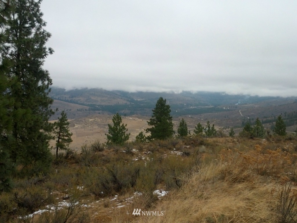 46 Sky Ridge Road Pateros, WA 98846 - Photo 4 of 5 Gallery Image 4