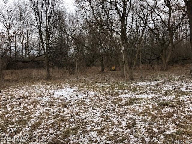 0 South Summers Road Imlay City, MI 48444 - Photo 1 of 5 VL S. Summers - Main
