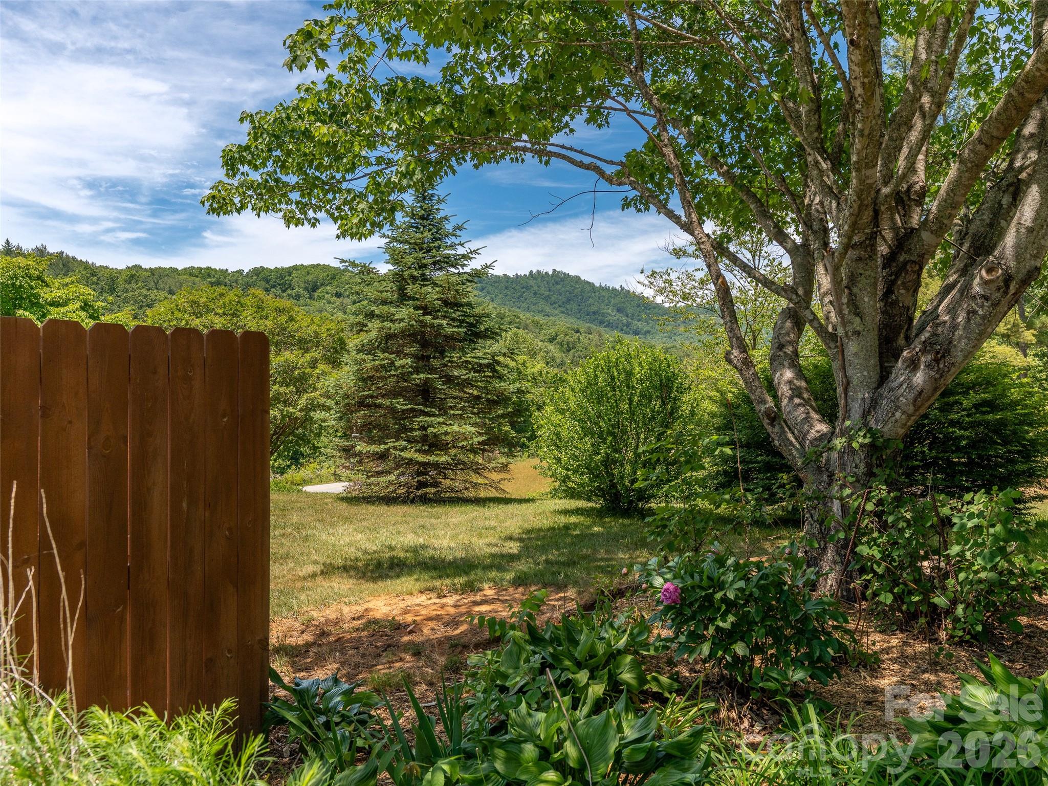 241 Pinners Cove Road Asheville, NC 28803 - Photo 22 of 33