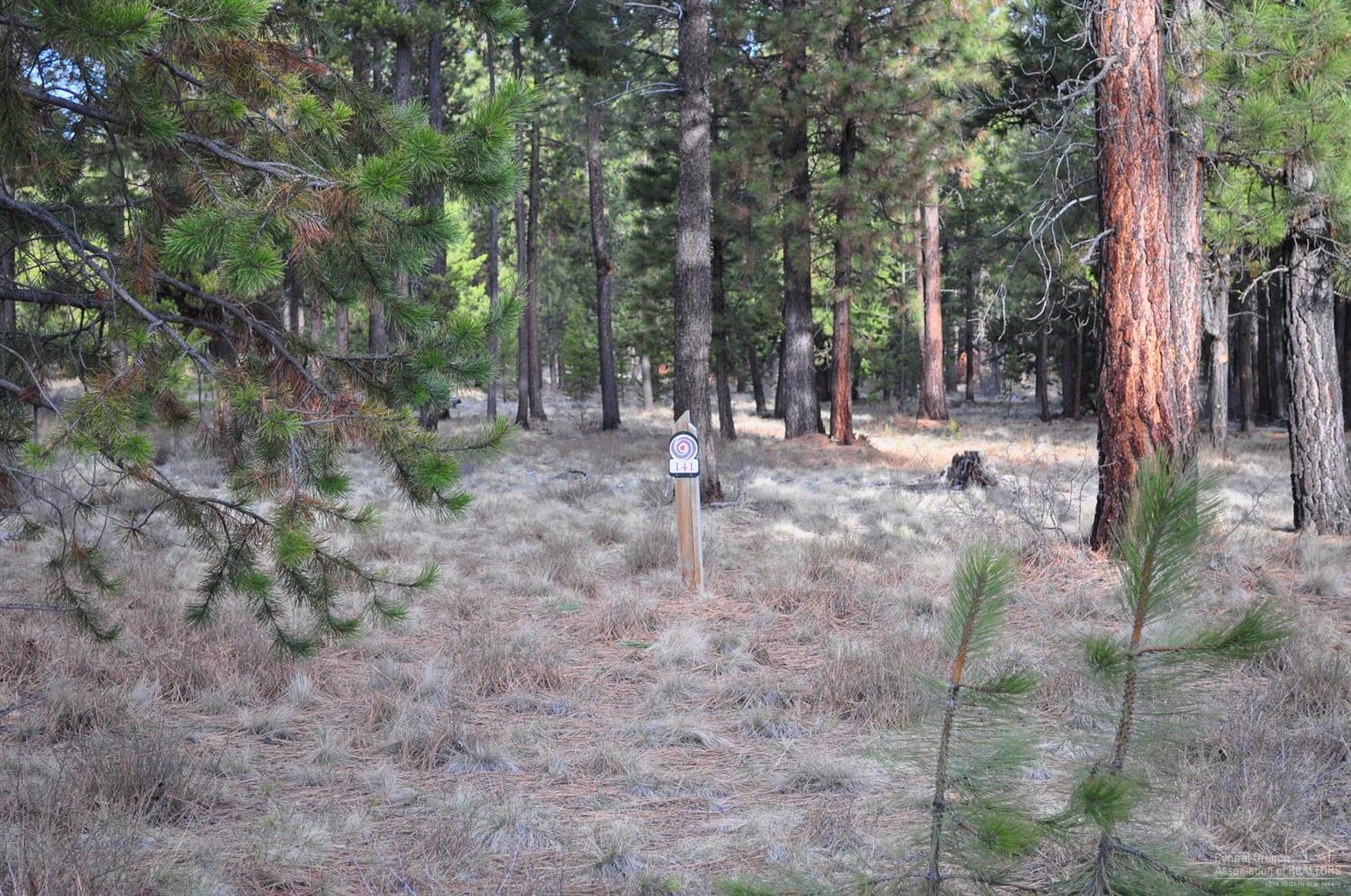 56670 Sunstone Loop Bend, OR 97707 - Photo 1 of 13 Primary Photo