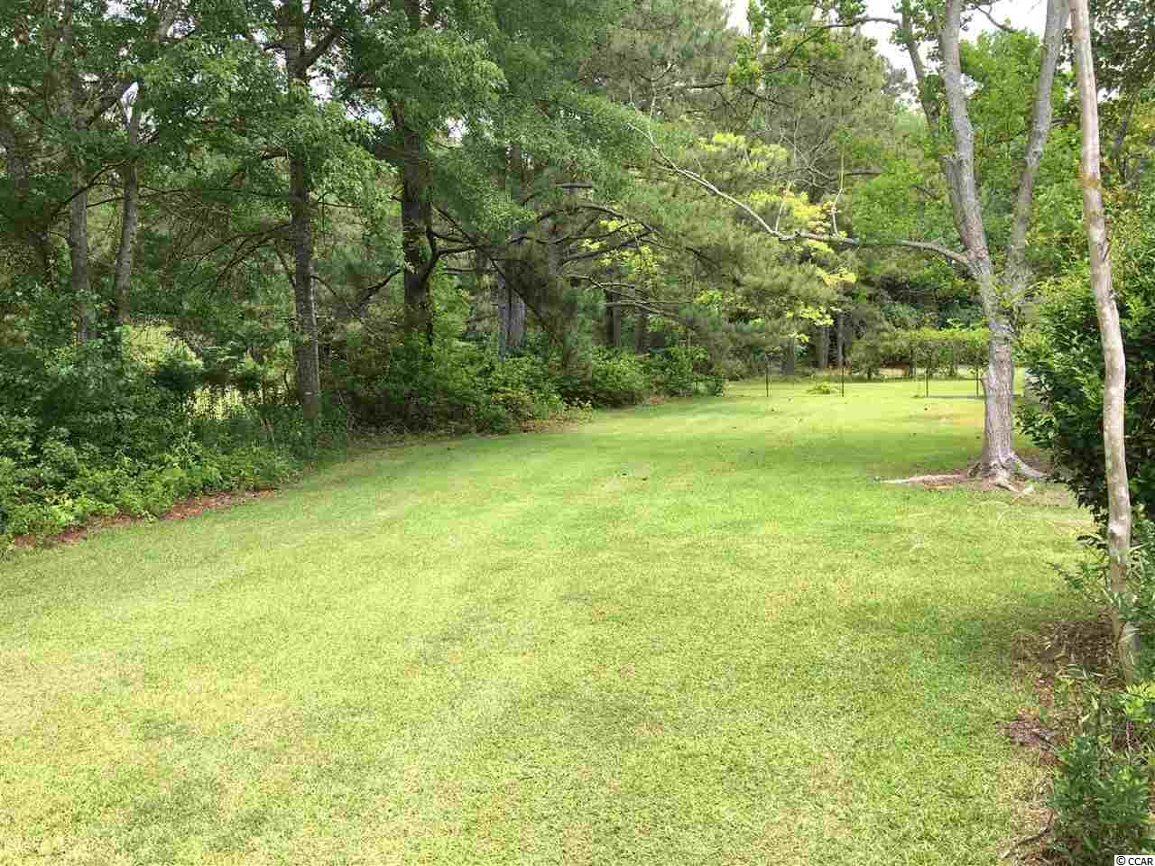 721 West County Line Road Hemingway, SC 29554 - Photo 3 of 28