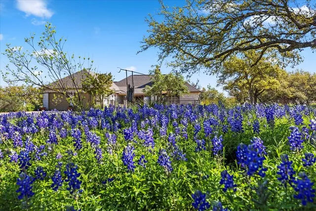 a view of a flower in a garden