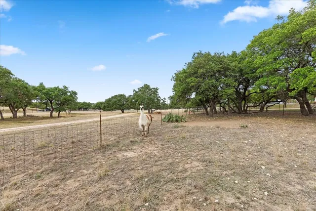 $749,500 | 300 Logans Way, Blanco, TX 78606