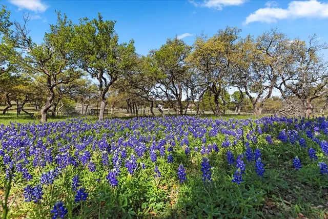 $749,500 | 300 Logans Way, Blanco, TX 78606