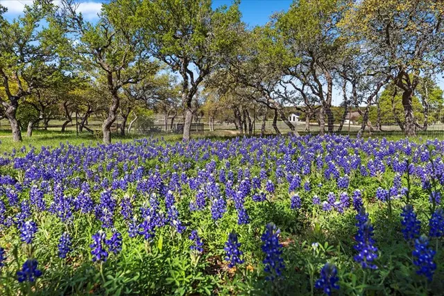 $749,500 | 300 Logans Way, Blanco, TX 78606