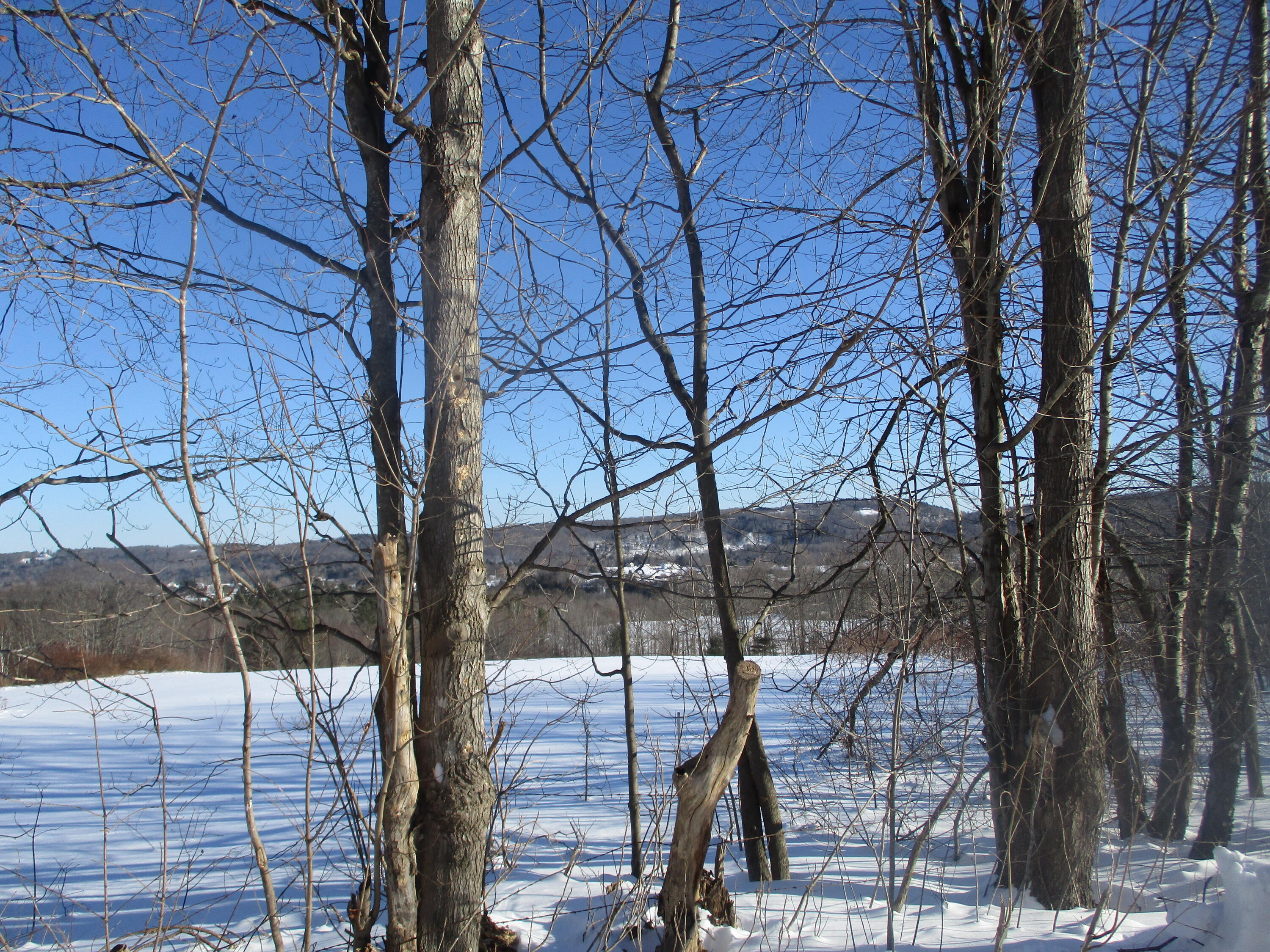 110 Andrews Road Wales, ME 04280 - Photo 26 of 28 Side Views