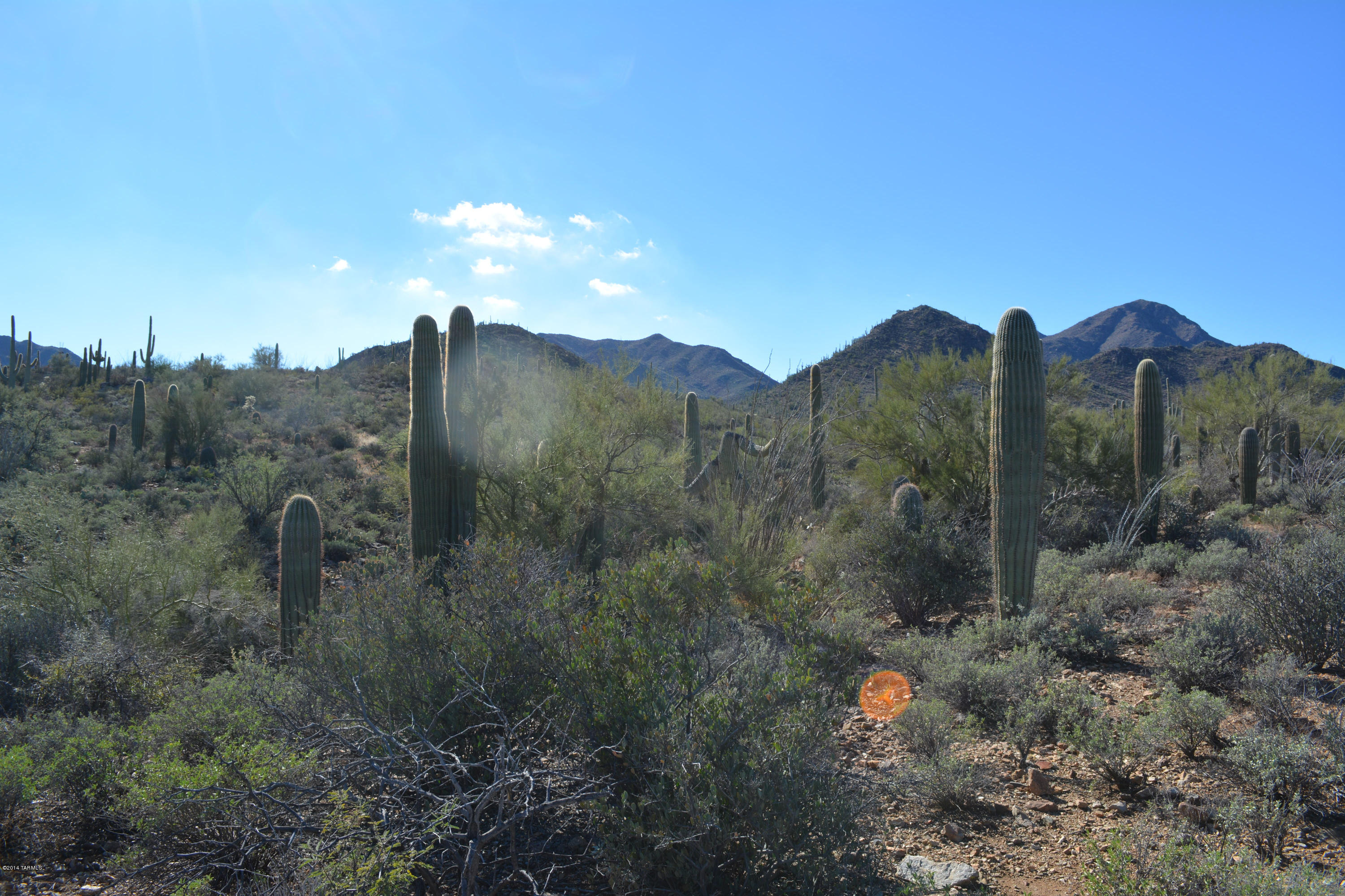 3955 North Broken Spring Trail Tucson, AZ 85745 - Photo 1 of 12